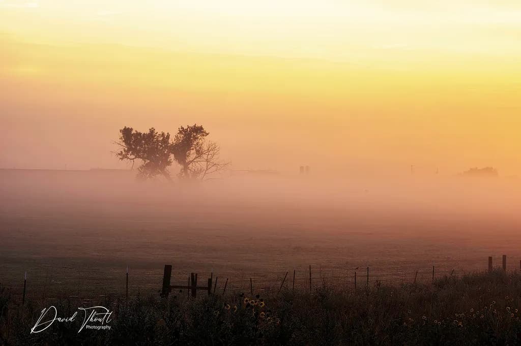 Veil of Dawn