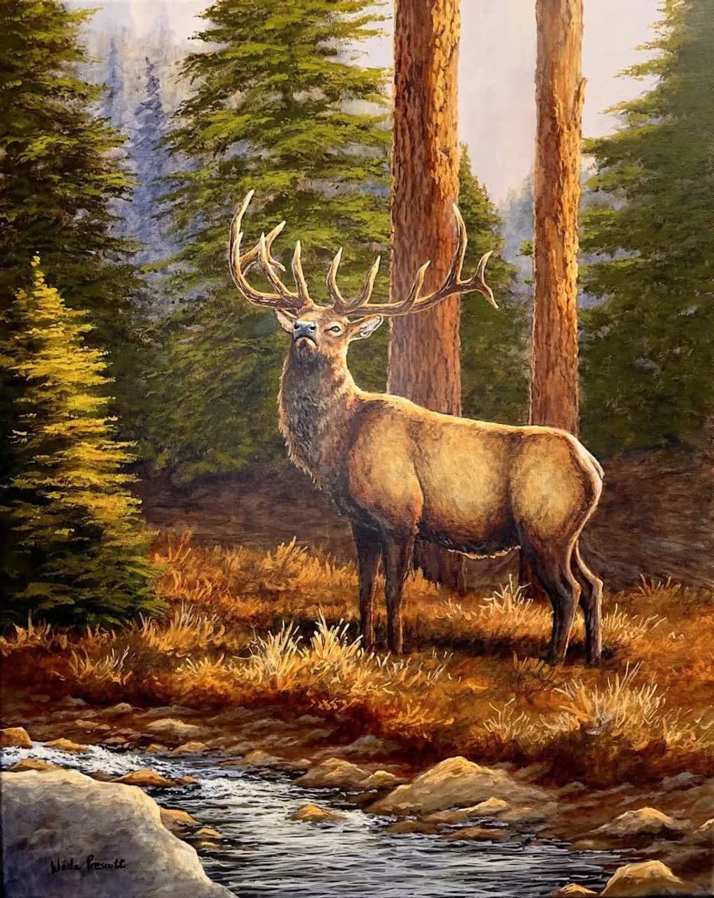 Forest Elk Vigil