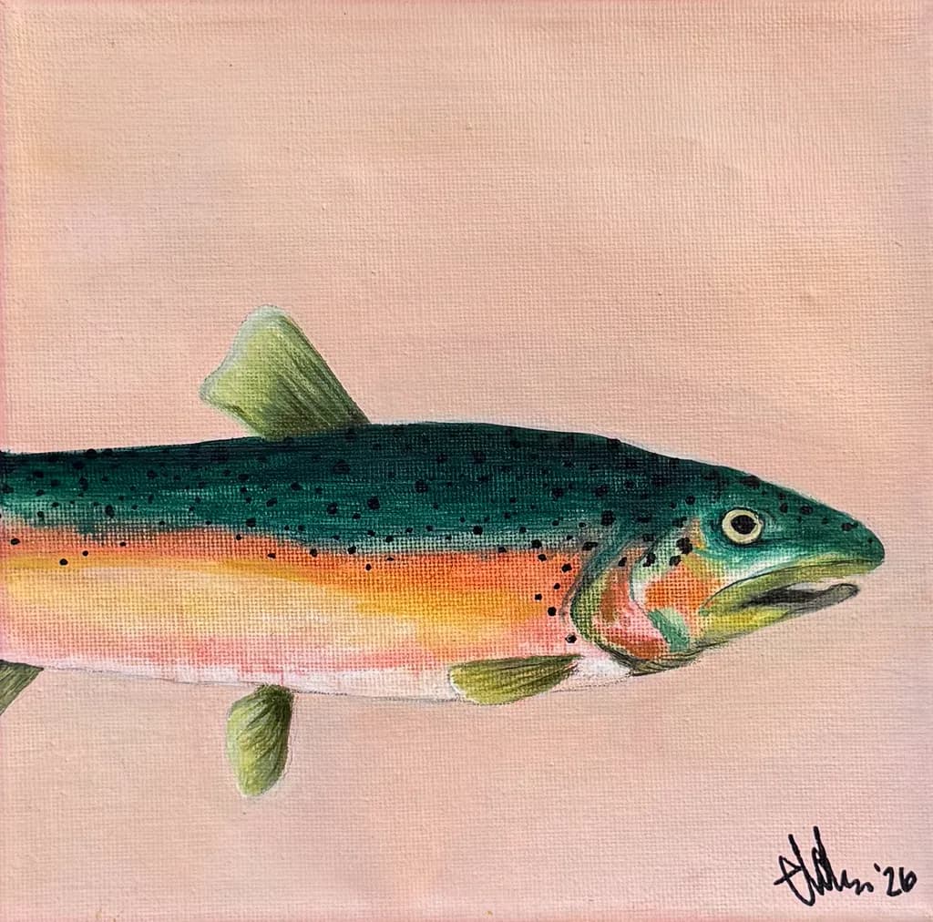 Speckled Trout