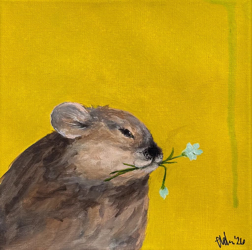 Blossom Cheek