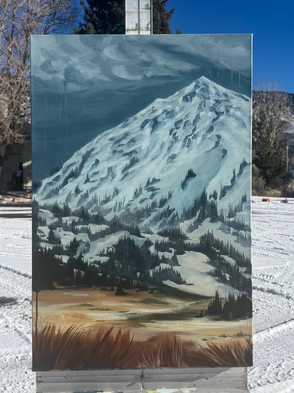 Snowy Summit