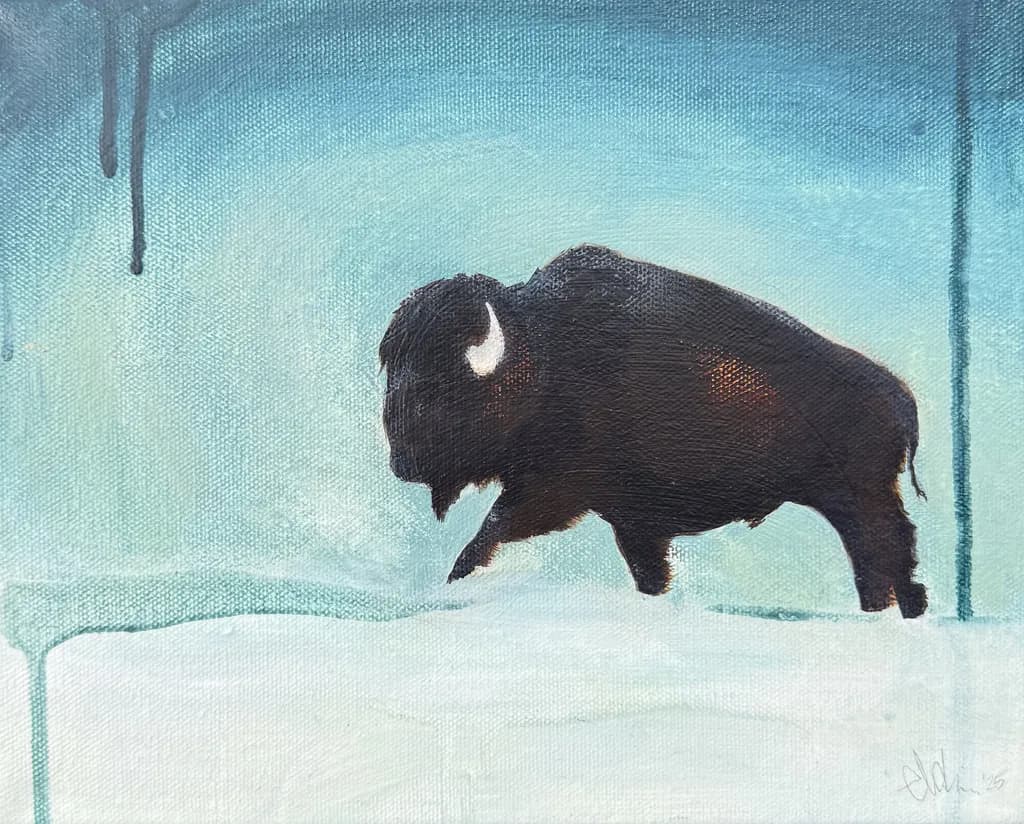 Buffalo Serenity