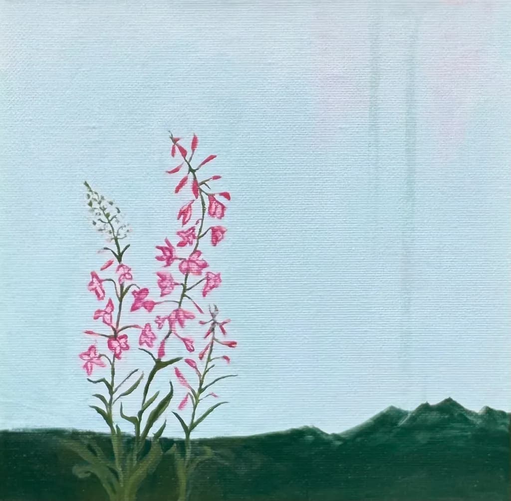 Pink Bloom Vista