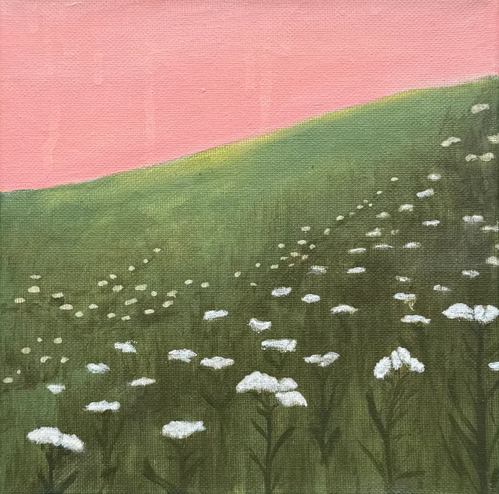 Dusky Meadow