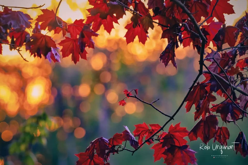 Crimson Dusk