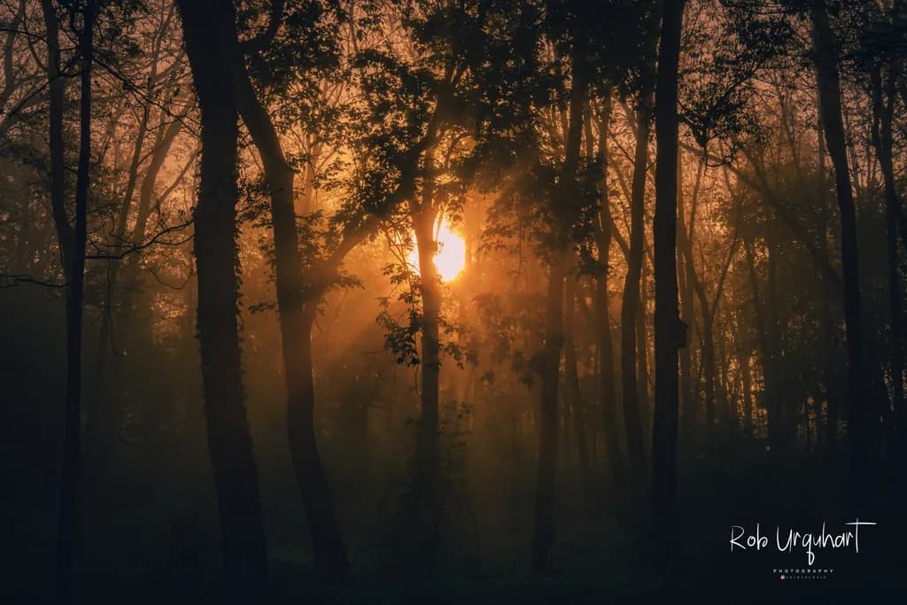 Dawn Glow