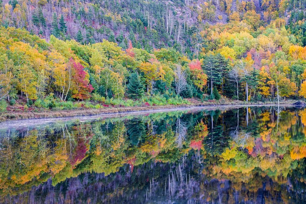 Autumn's Embrace: A Serene Reflection of Nature's Palette