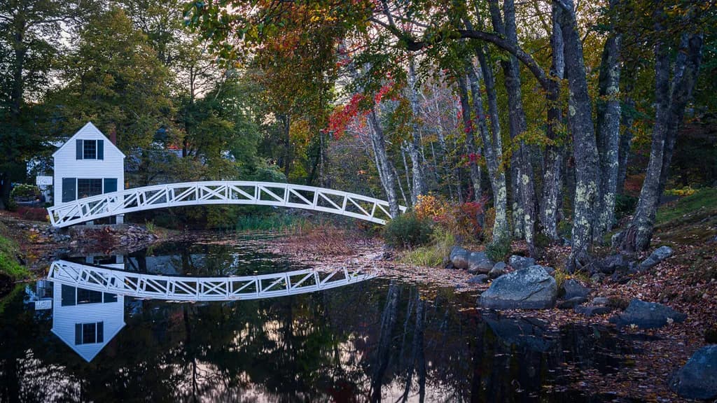 Whispers of Autumn: A Serene Reflection Beneath the Bridge