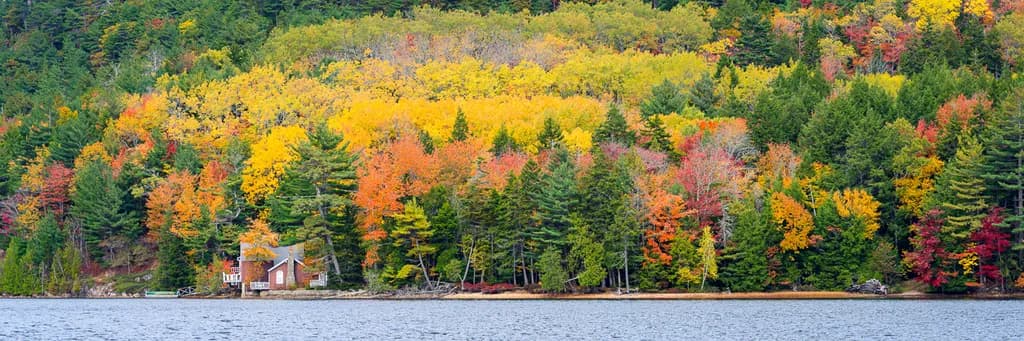 Autumn's Embrace: A Serene Lakeside Retreat Amidst Vibrant Foliage