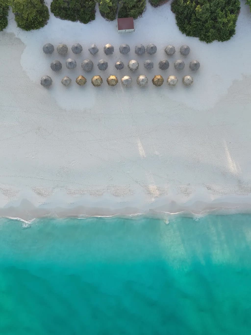 Beach Umbrella Harmony