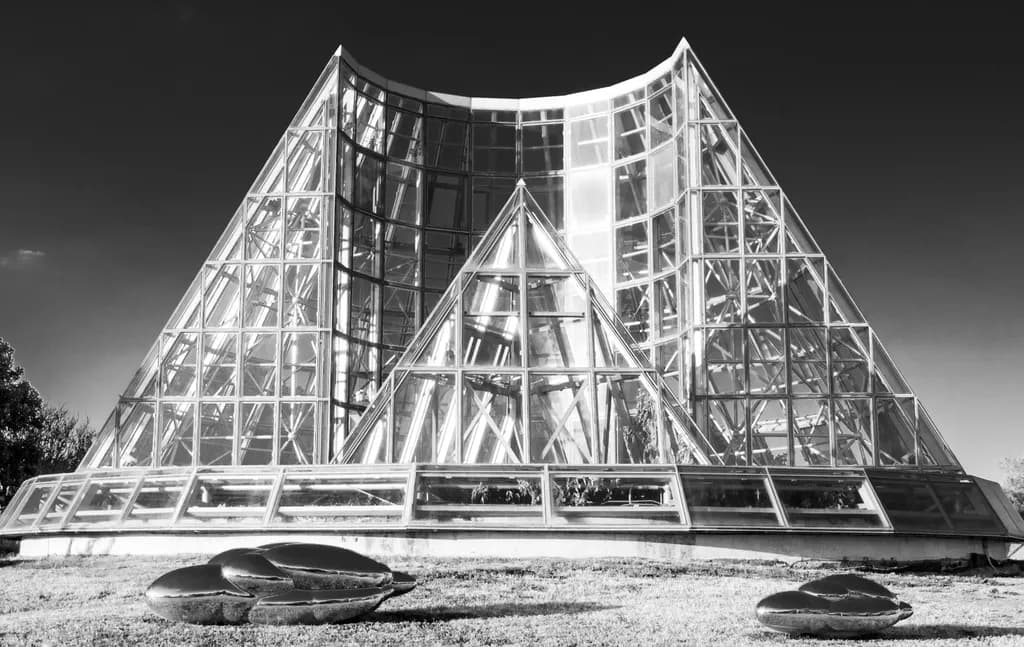 Cage