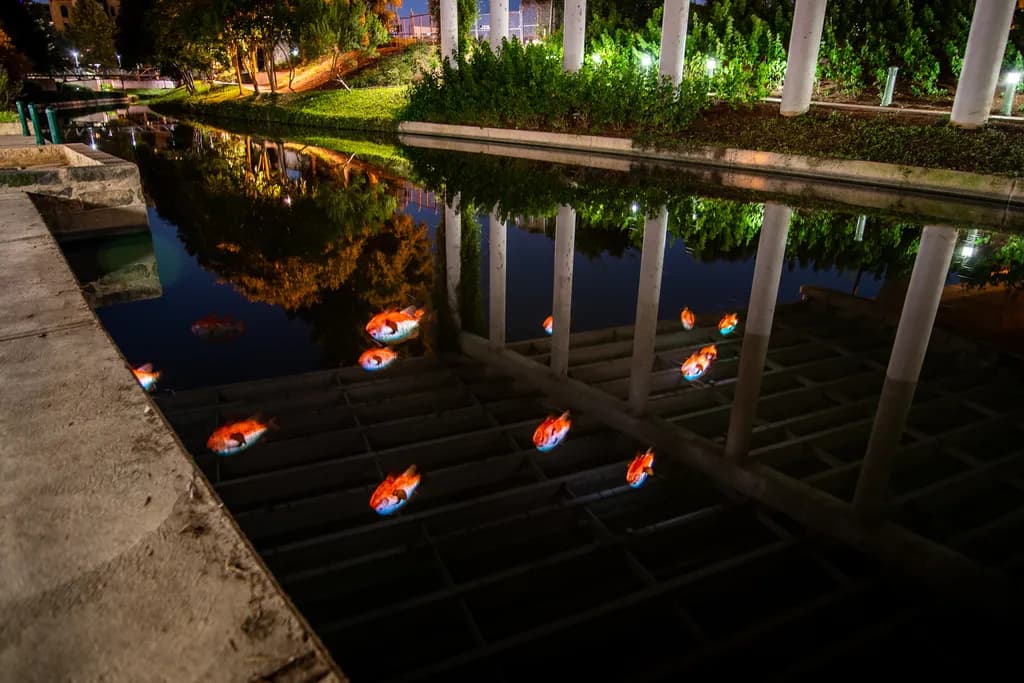 Nighttime Reflections