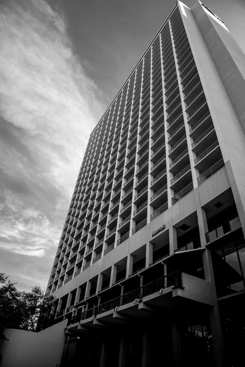 Modern Monochrome High-Rise