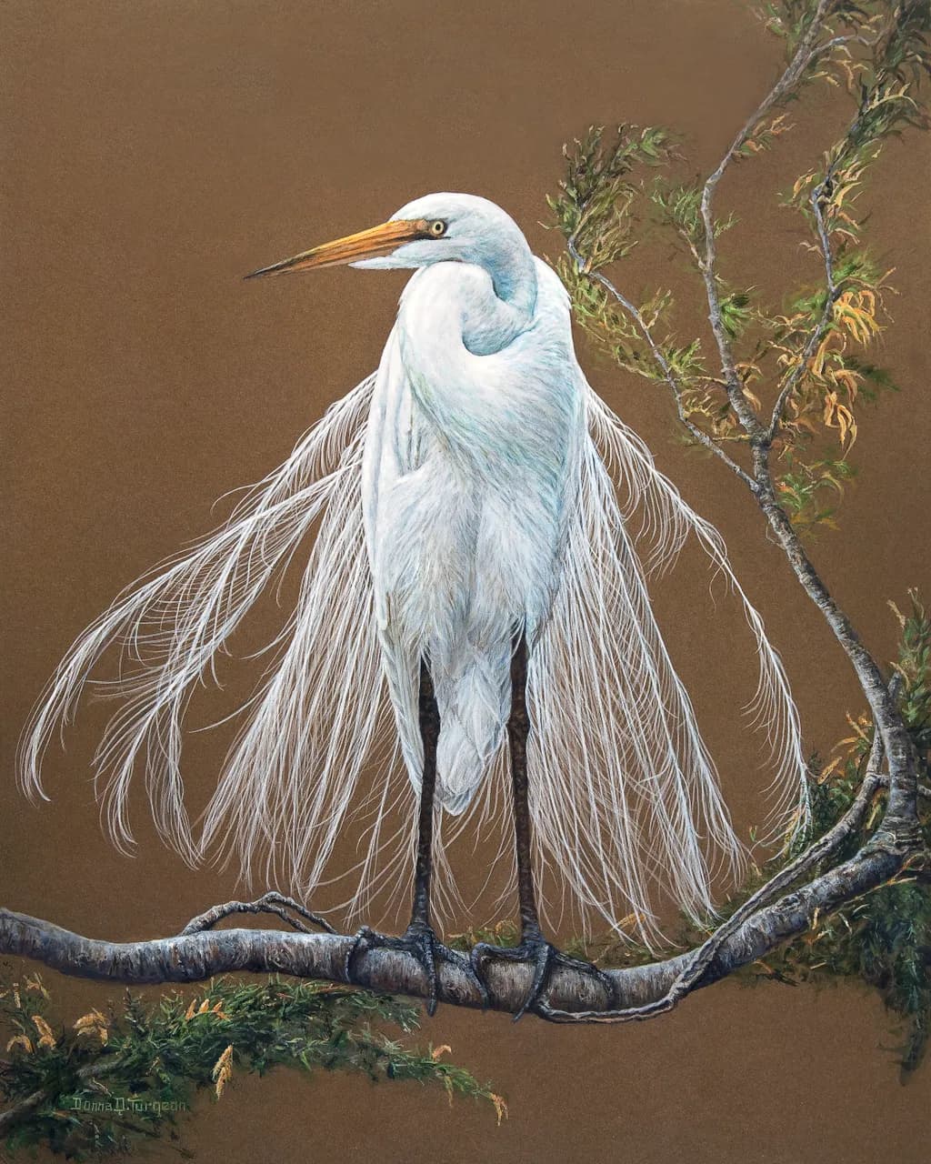 Great Egret in Full Plumage