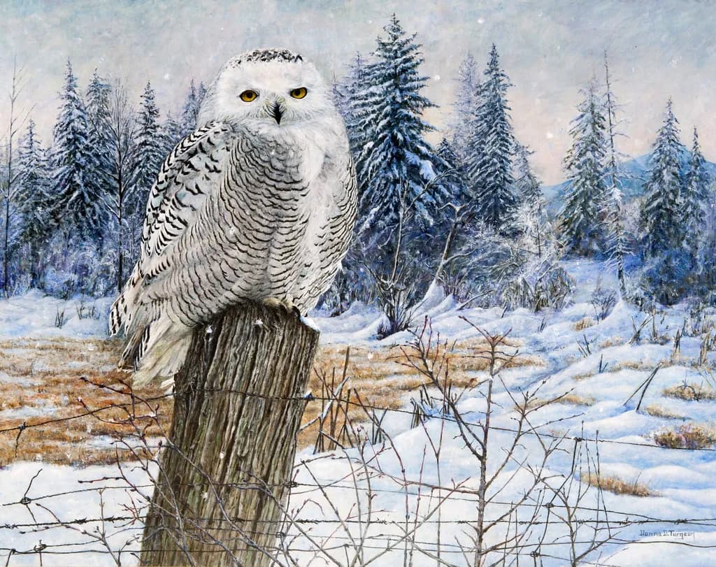 Snowy Sentinel