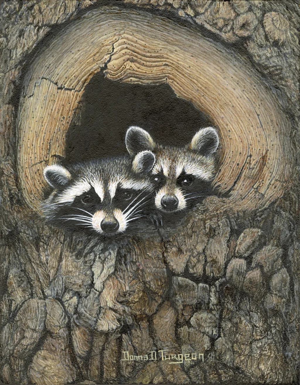 Raccoon Hollow