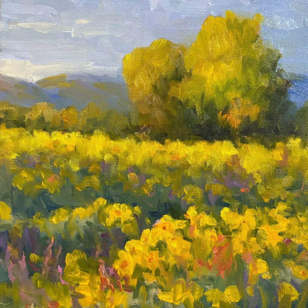 Golden Fields of Serenity: A Vibrant Landscape in Bloom