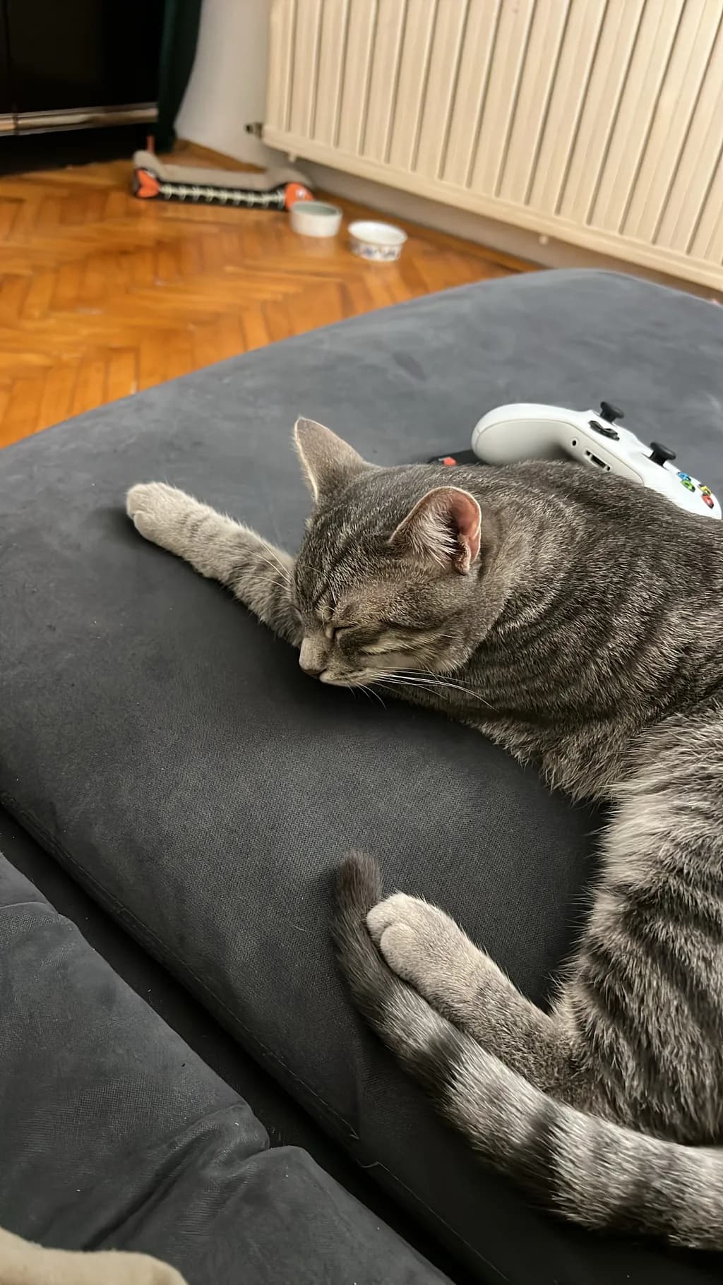 Gaming Pause