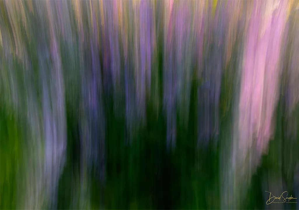 Whispers of Color: A Dreamscape of Blossoms in Motion