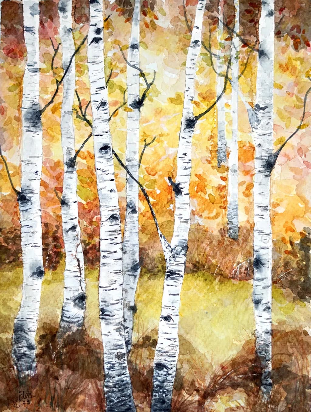 Autumn Birch Trees