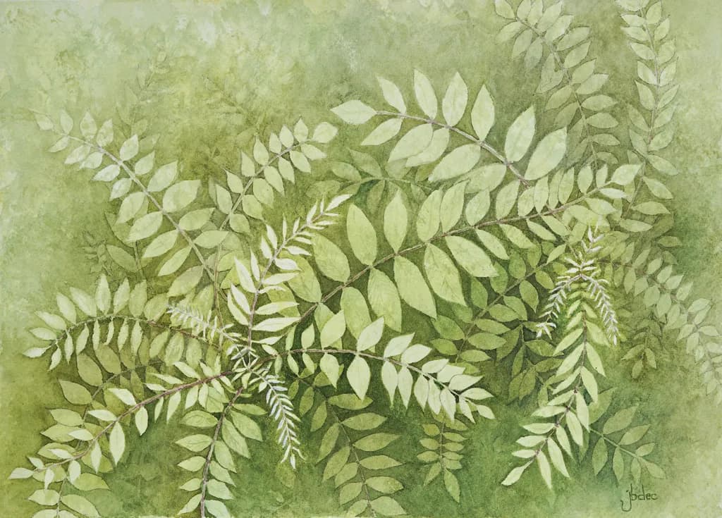 Lush Ferns