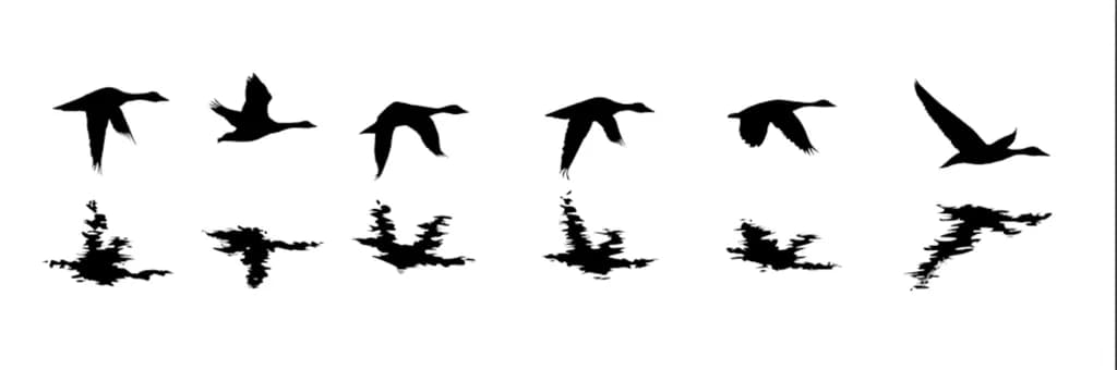 Whispers of Flight: A Dance of Silhouettes and Reflections in Nature's Canvas