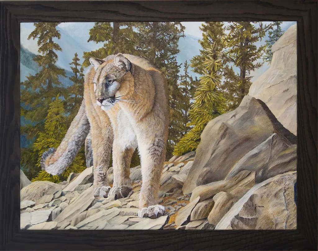 High Country Cougar