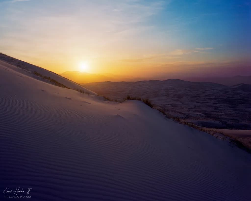 Mesquite Sunset 2