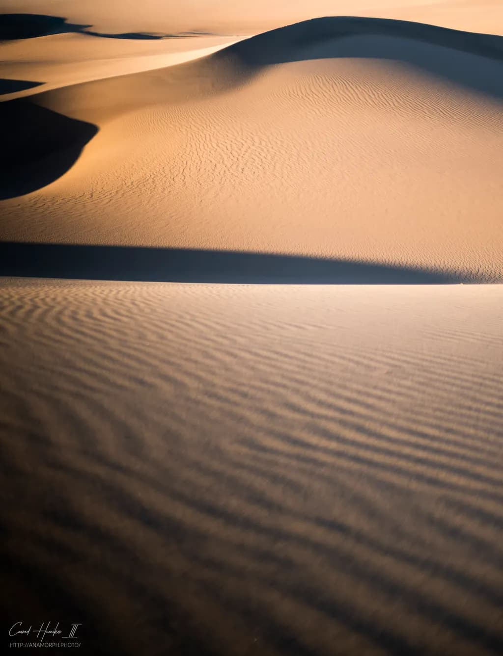 Sand Waves