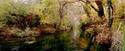 Ukraine Wilderness