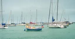 Tender Harbor