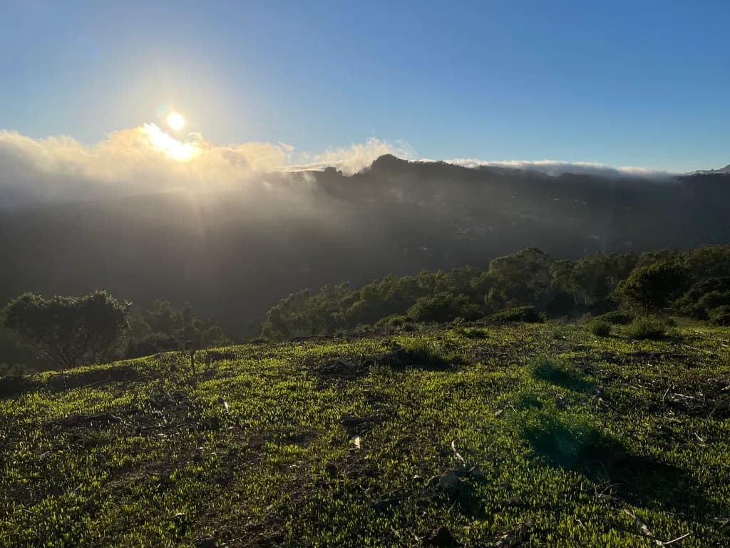 Morning Glow