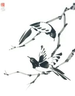 Dancing Magpies
