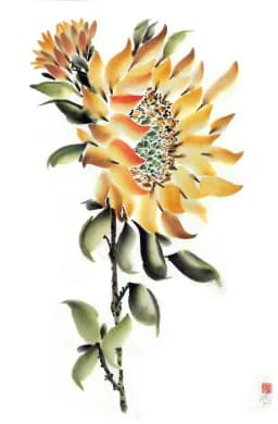 Golden Bloom