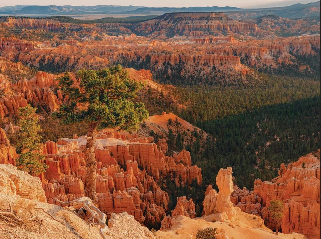 The Majestic Dance of Light and Shadow in Bryce Canyon