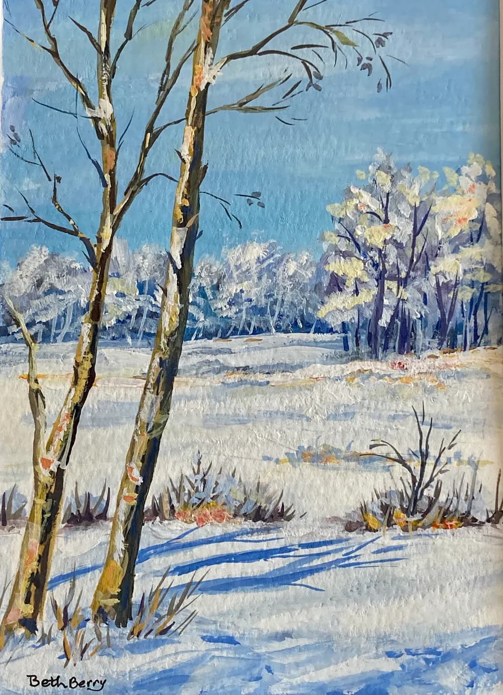 Winter's Embrace