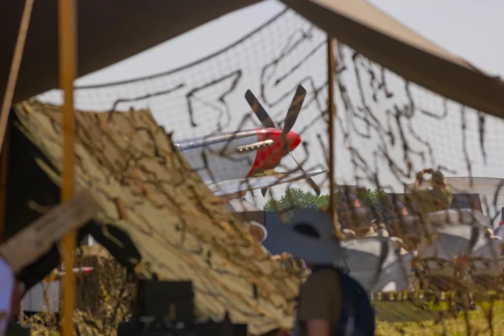P-51 Through Cammo Net