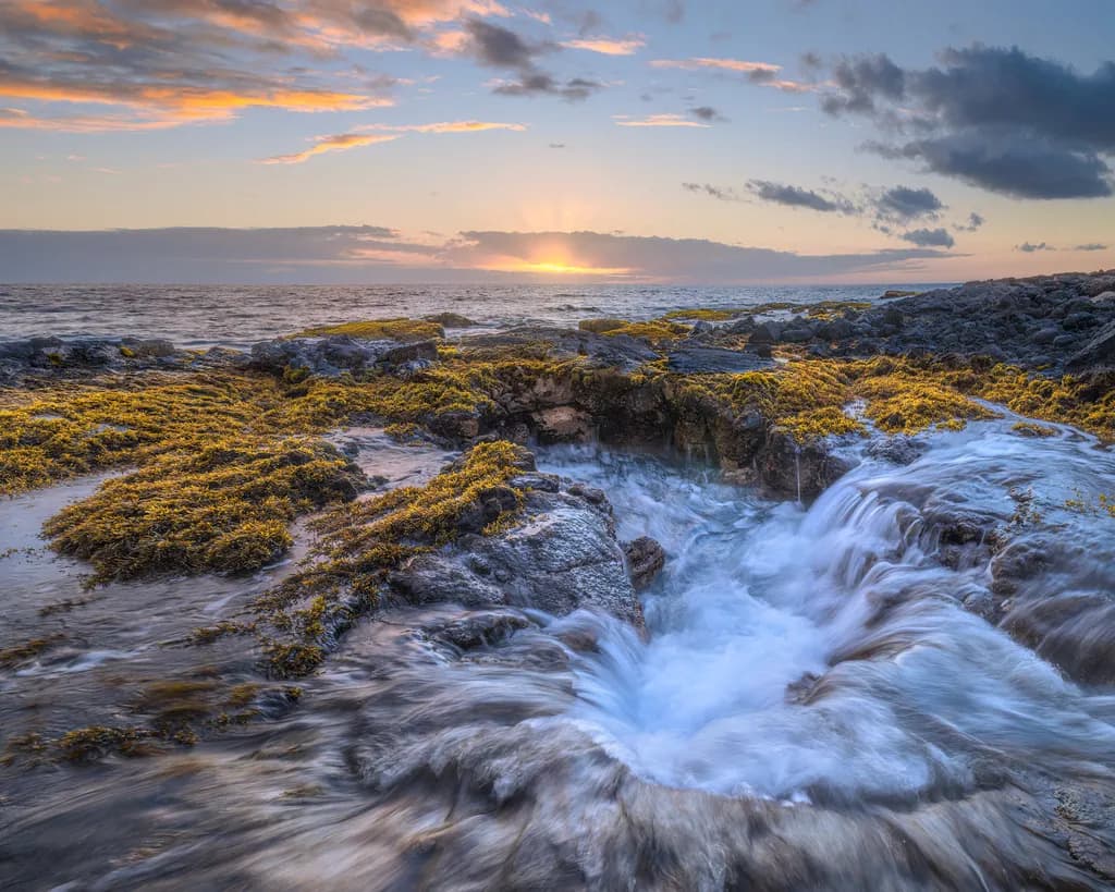 Rocky Shore Sunset