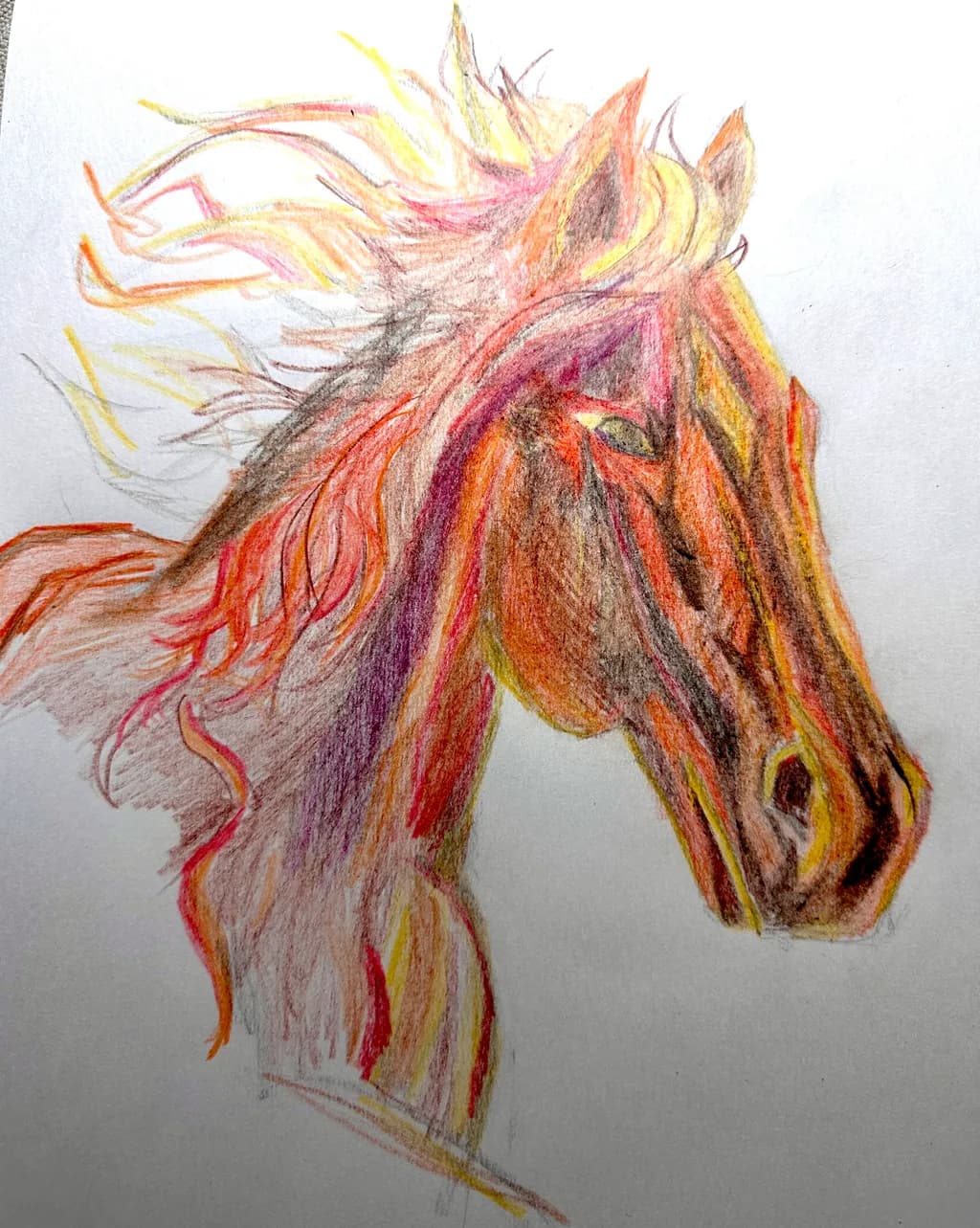 Year of the Fire Horse