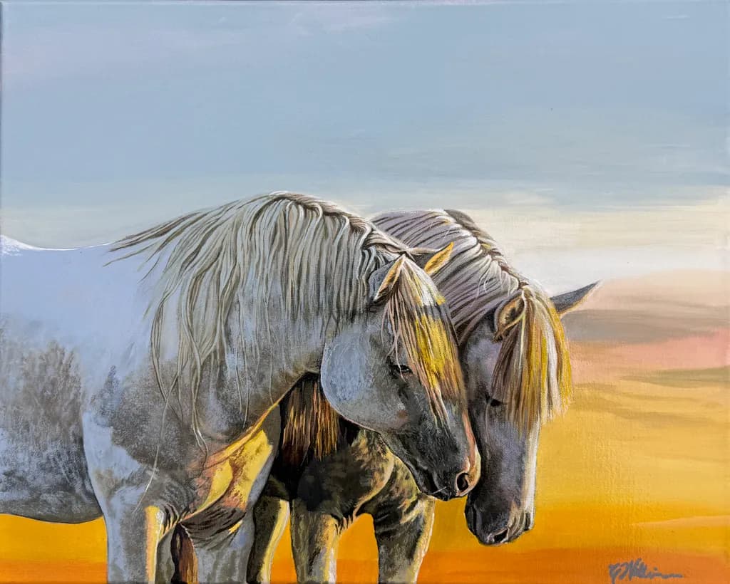 Equine Affection