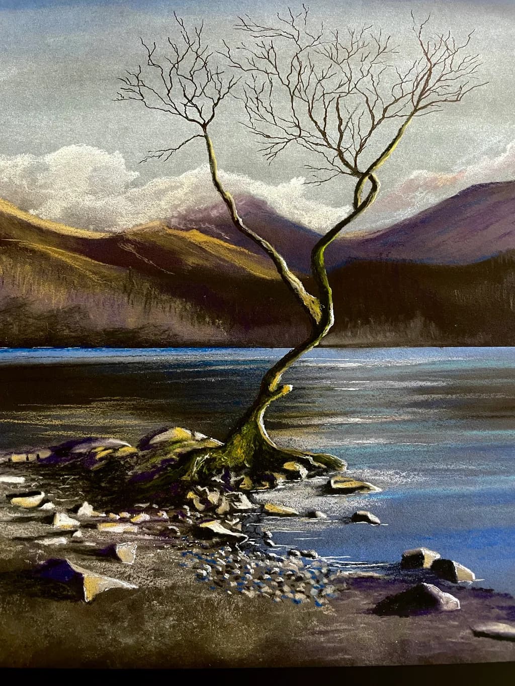 Serenity in Solitude: A Tree's Journey by the Water's Edge