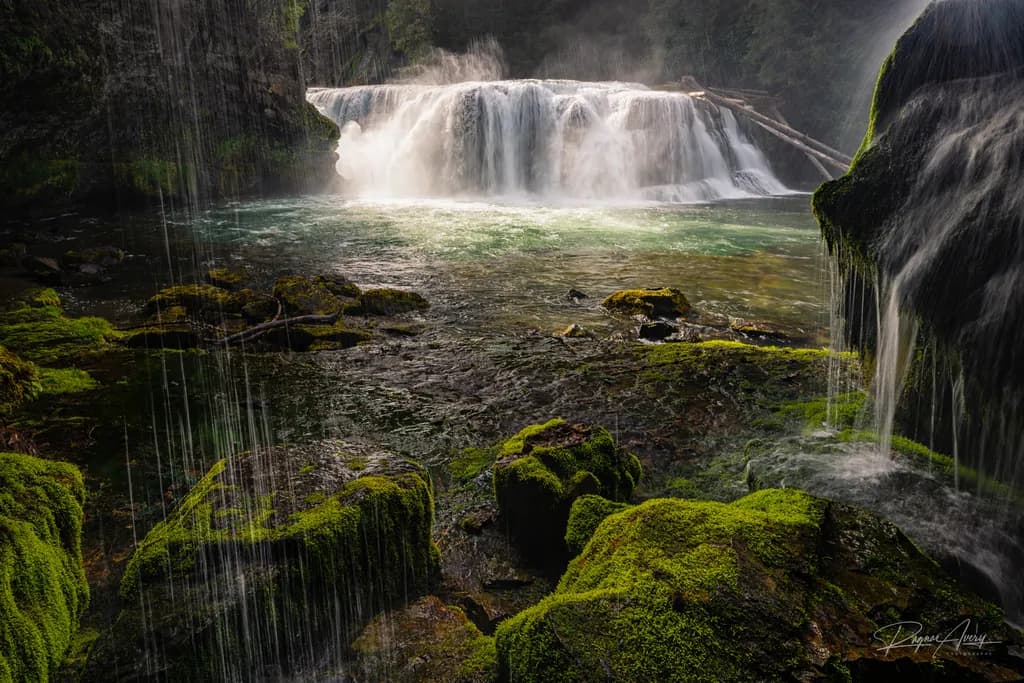 Mossy Waterfall Pool