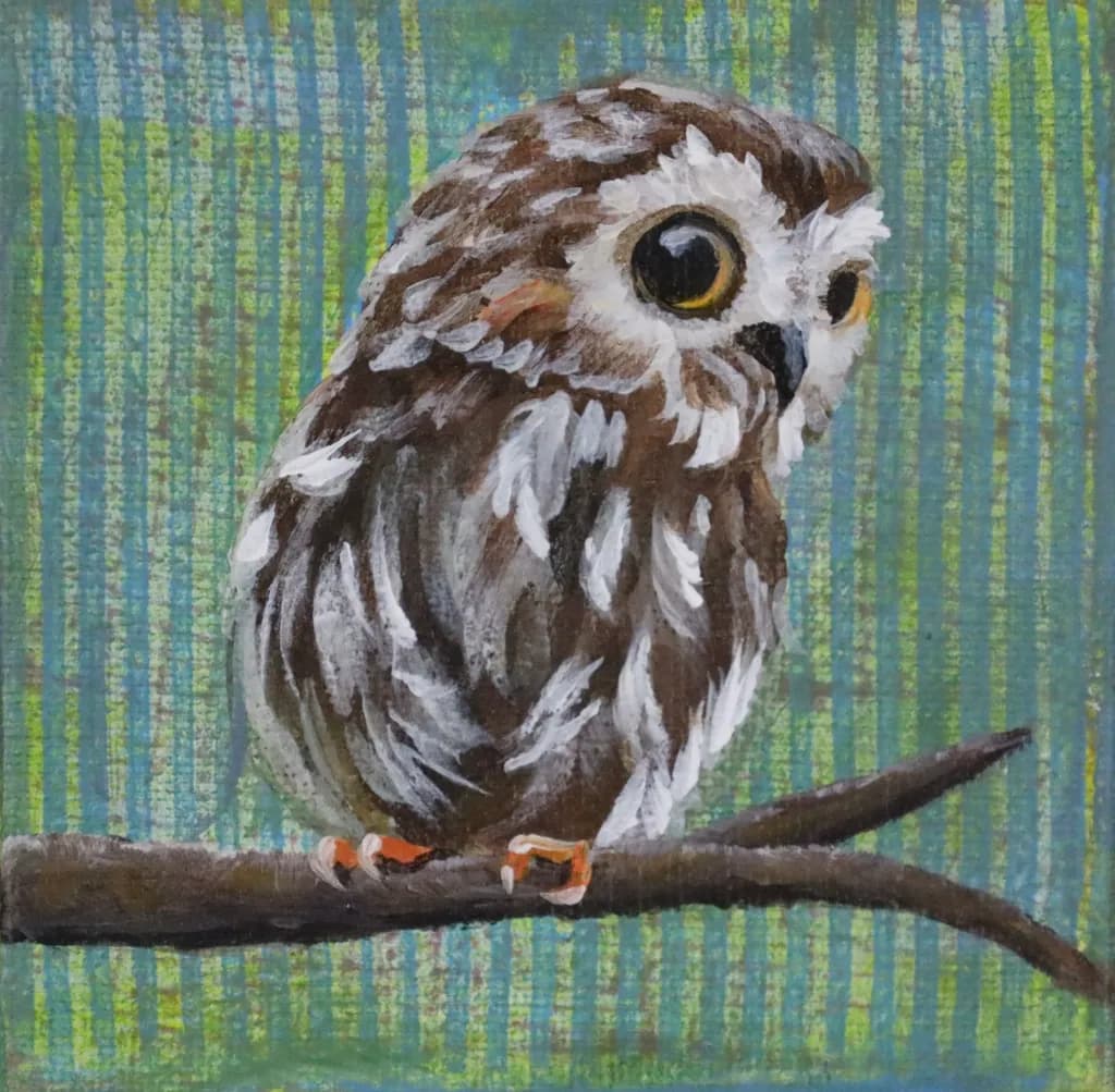 Little Owl