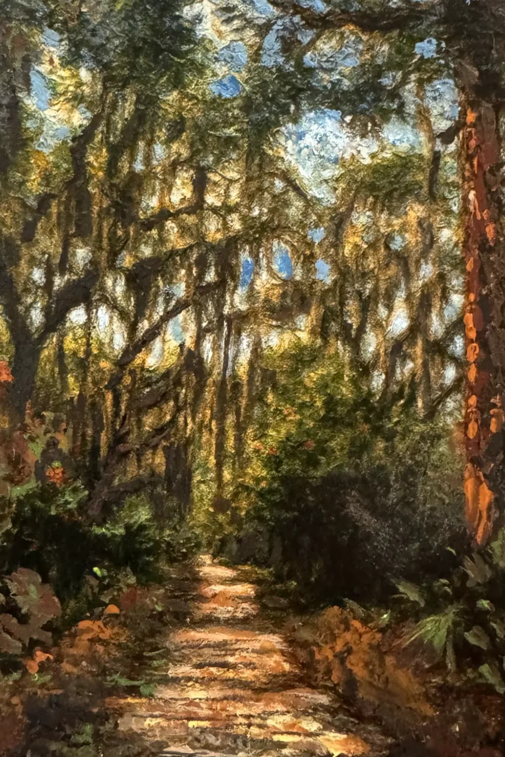 Whispers of Light: A Tranquil Path Through the Enchanted Forest