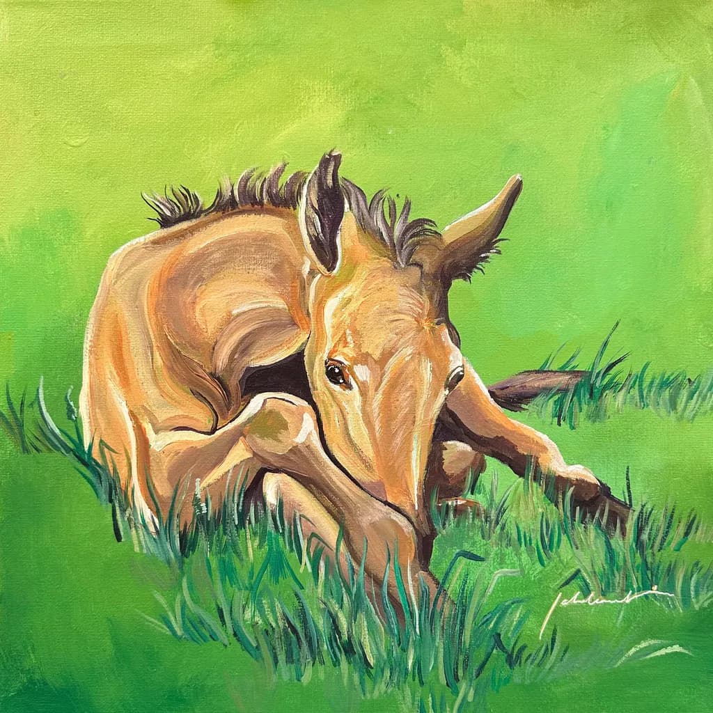 Resting Foal