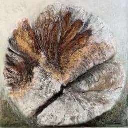 Autumn Protea Study