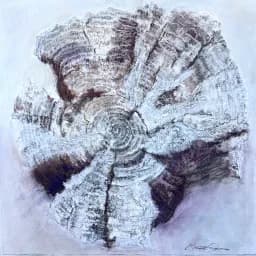 Tapestry of a Life