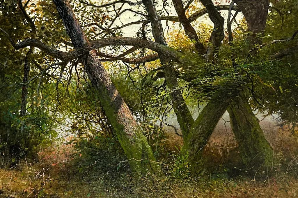 Inner Woods