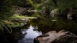 Solitude