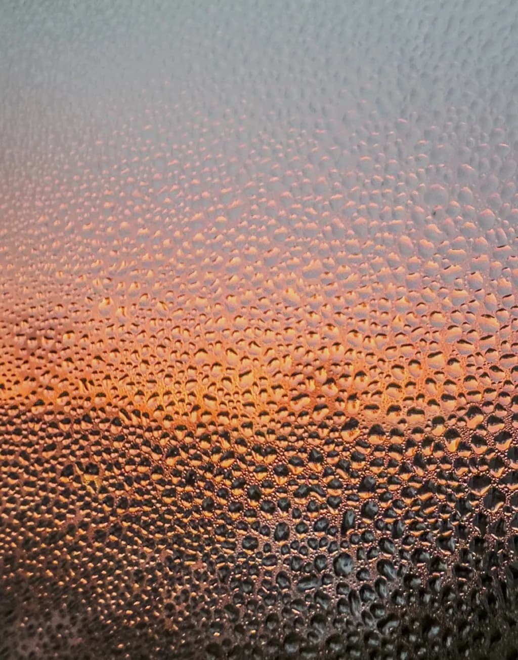 Sunset Through Drops